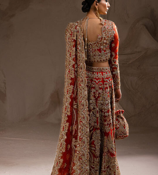 Red Bridal Lehenga and Choli
