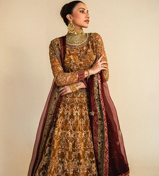 Organza-Lehenga-Choli-Paired-with-Maroon-Dupatta-Afreen-2.png Organza Lehenga Choli Paired with Maroon Dupatta