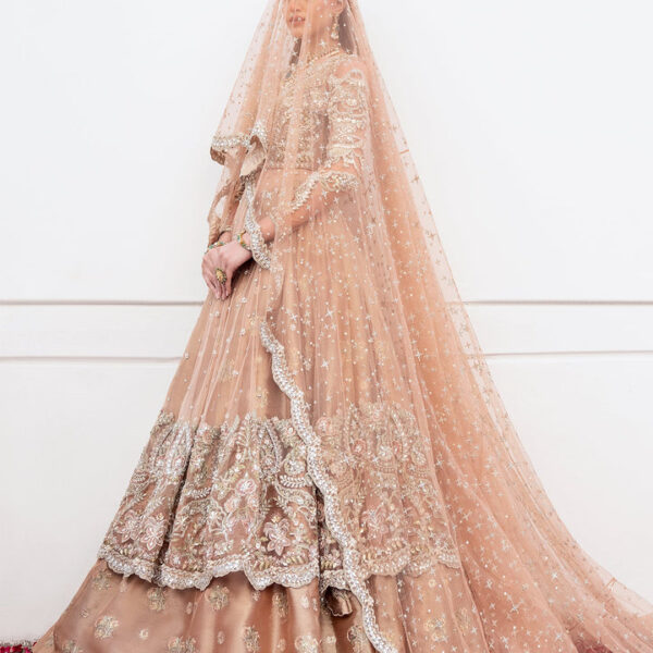 Bridal Gown Lehenga with heavy Embroidery