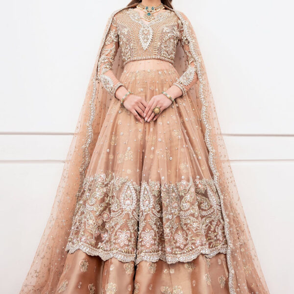 Bridal Gown Lehenga with heavy Embroidery