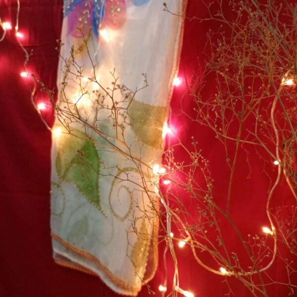 Paint Outfit Studio Grace Blossom Dupatta