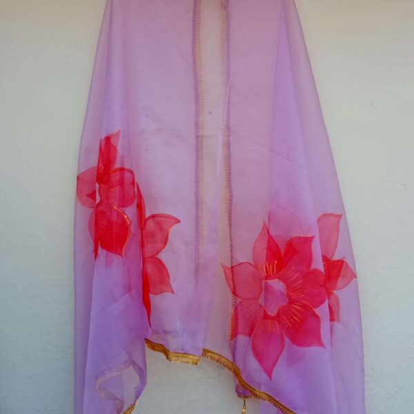 Paint Outfit Studio Red Rose Pink Dupatta