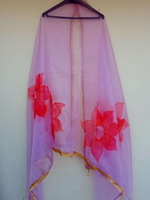 Paint Outfit Studio Red Rose Pink Dupatta