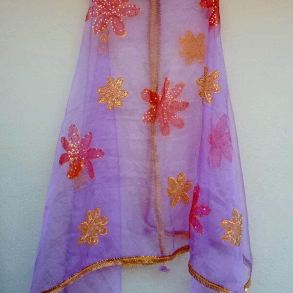Paint Outfit Studio Cozy Gold and Red Flower Dupatta