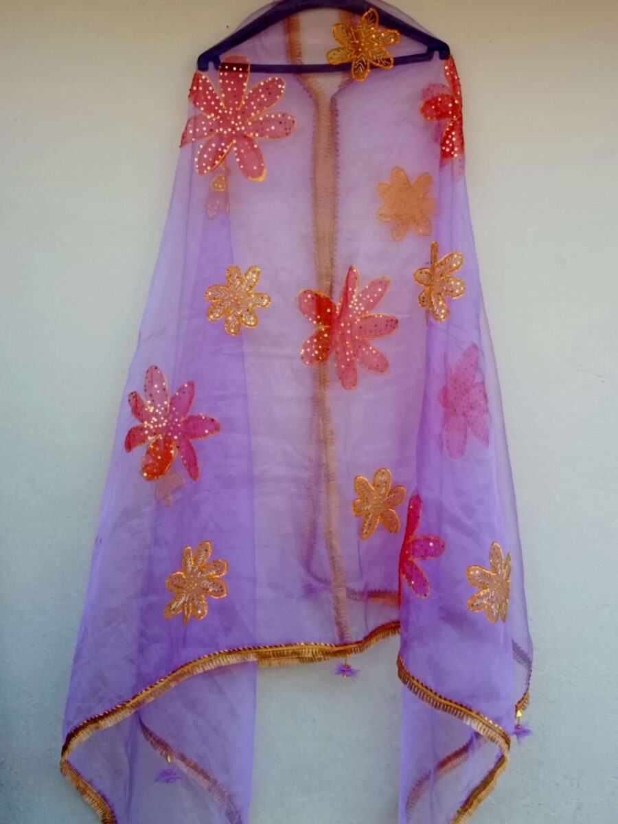 Paint Outfit Studio Cozy Gold and Red Flower Dupatta