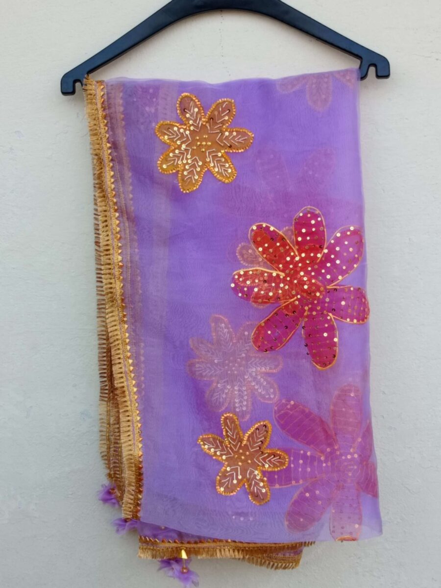 Paint Outfit Studio Cozy Gold and Red Flower Dupatta