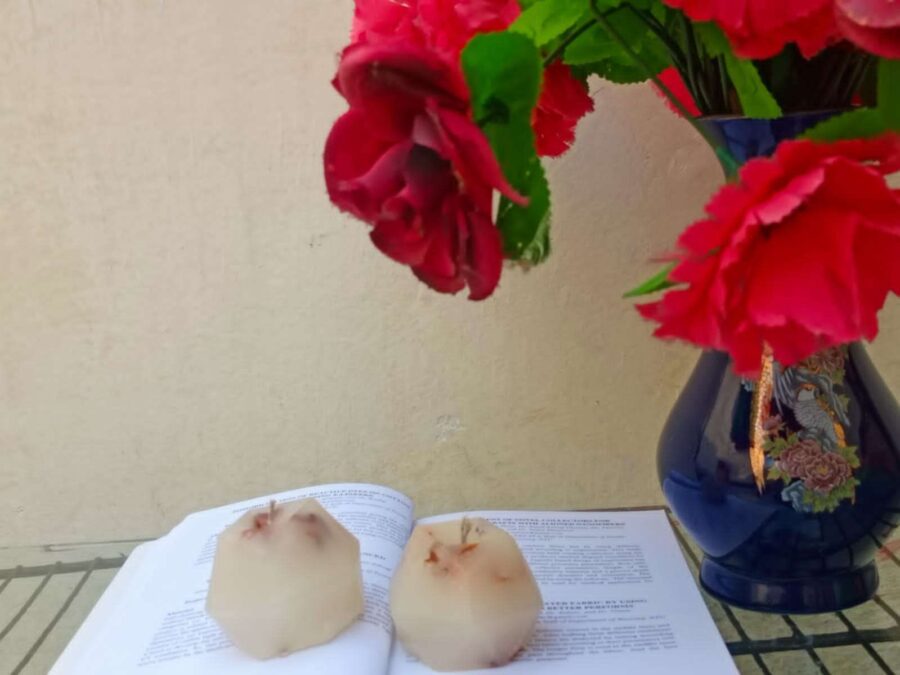 scented candles Scented Candles with Dried Flower Petals