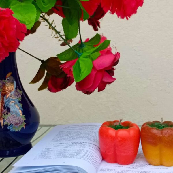 Paint Outfit Candles Bell Pepper Scented Candles: A Feast for Your Eyes and Nose