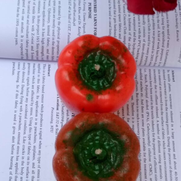 Paint Outfit Candles Bell Pepper Scented Candles: A Feast for Your Eyes and Nose