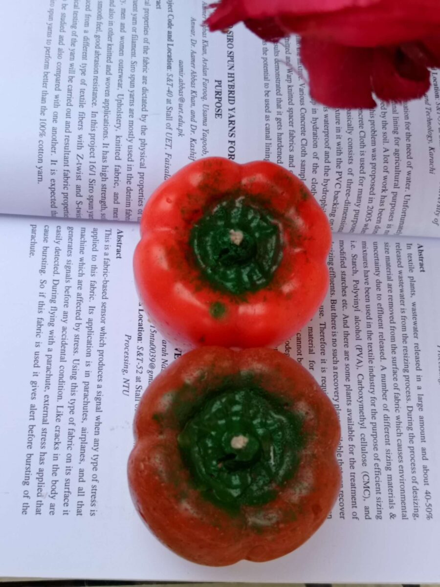 Paint Outfit Candles Bell Pepper Scented Candles: A Feast for Your Eyes and Nose