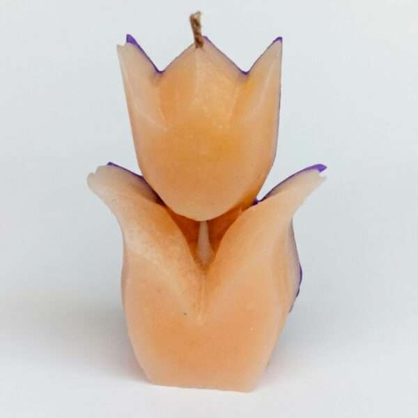 Scented candles Enlighten Lilly Scented Candle