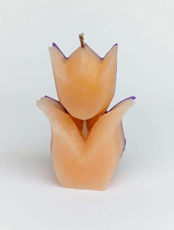 Scented candles Enlighten Lilly Scented Candle