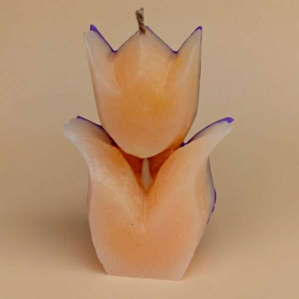 Scented candles Enlighten Lilly Scented Candle