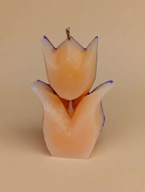 Scented candles Enlighten Lilly Scented Candle