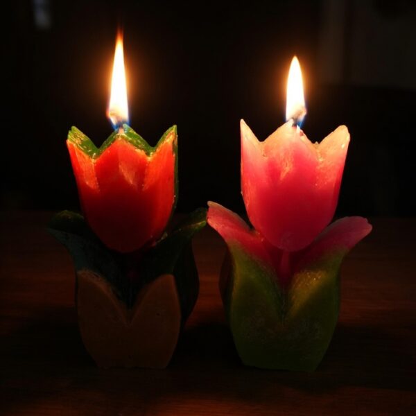 Paint Outfit Studio Scented Candles - Lilly Blossoming