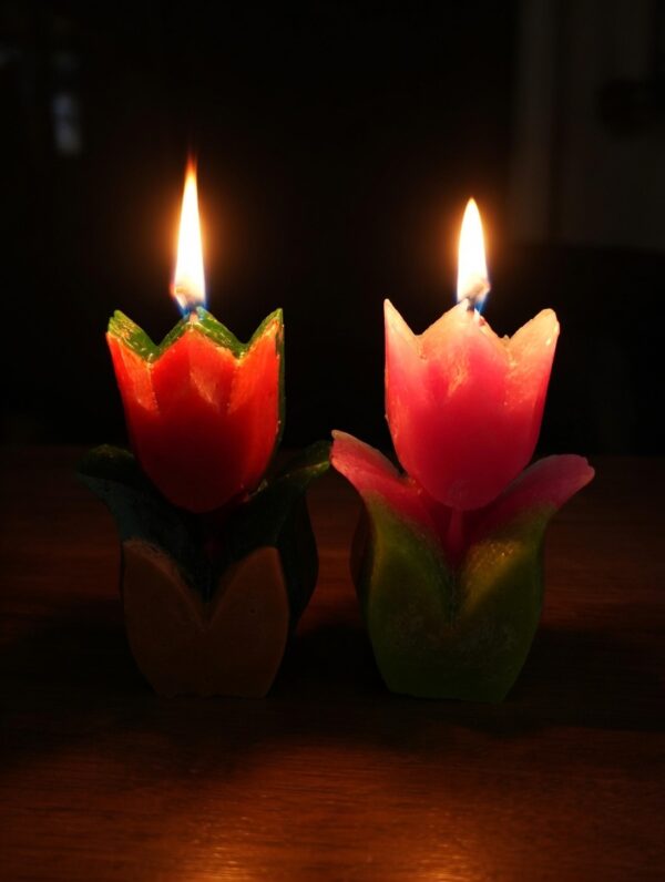 Paint Outfit Studio Scented Candles - Lilly Blossoming