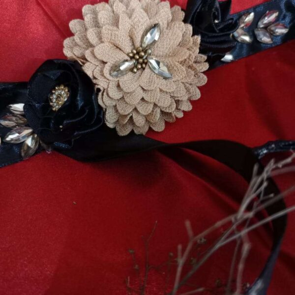 Fancy Waist Belt-POS-2
