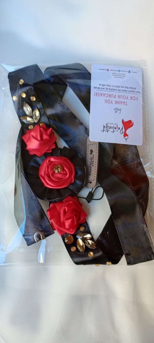 Fancy Waist Belt-POS-1