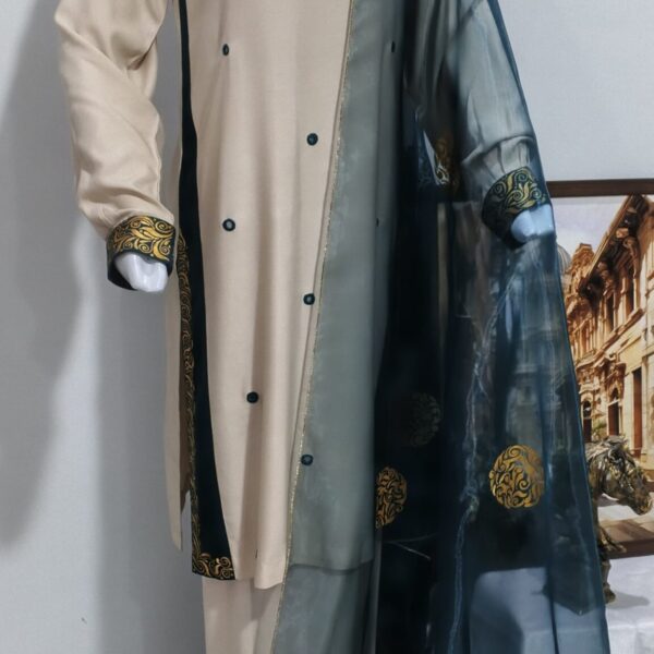 Paint Outfit-4 POS-3PC-02