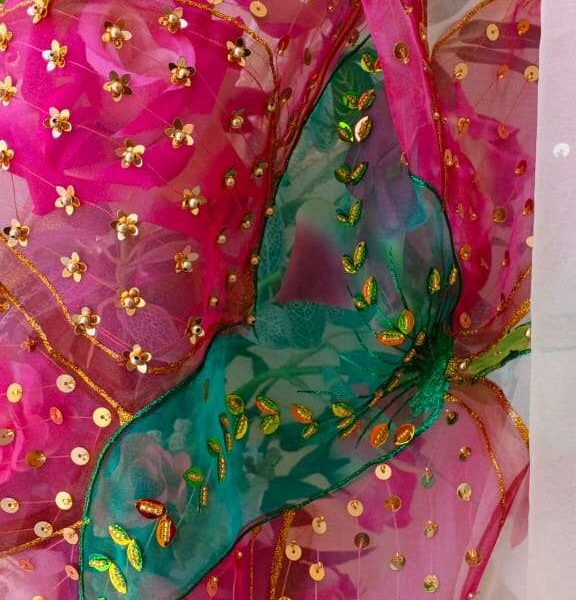 Dupatta-8 Hand-Painted Floral Organza Dupatta