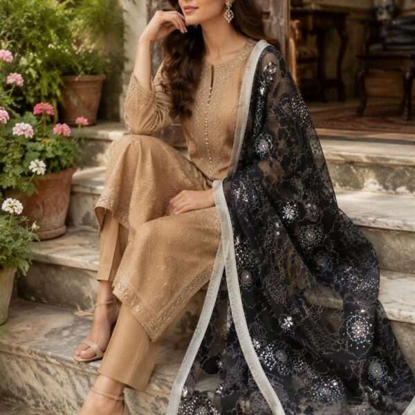Paint Outfit Studio Noir Bloom Luxe Organza Dupatta