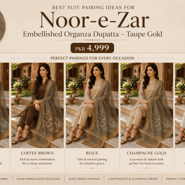 Paint Outfit Studio Noor-e-Zar Embellished Organza Dupatta – Taupe Gold