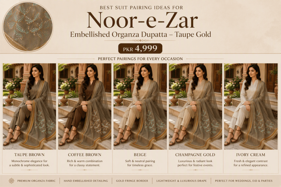 Paint Outfit Studio Noor-e-Zar Embellished Organza Dupatta – Taupe Gold
