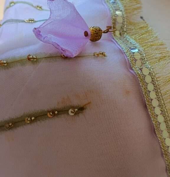 Noor-e-Gulzar Embellished Organza Dupatta