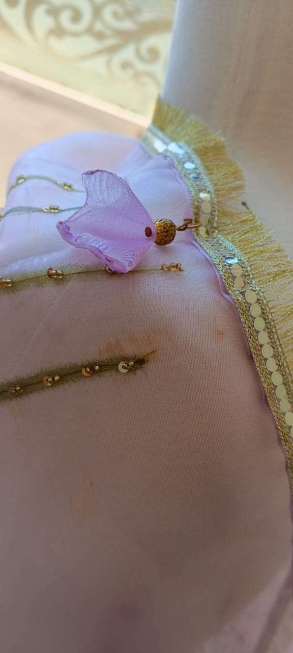 Noor-e-Gulzar Embellished Organza Dupatta